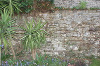 Ansicht / Grabenmauer Abschnitt 2 in 78315 Radolfzell, Radolfzell am Bodensee (01.07.2015 - Burghard Lohrum) Ansicht / Grabenmauer Abschnitt 2 in 78315 Radolfzell, Radolfzell am Bodensee (01.07.2015 - Burghard Lohrum)