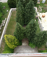 Turm ‚Buchheimer Hans‘ in 88637 Buchheim (11.01.2016 - Stefan King) Turm ‚Buchheimer Hans‘ in 88637 Buchheim (11.01.2016 - Stefan King)