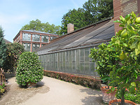Ansicht der Schaugewächshäuser von Südosten / Botanischer Garten  Schaugewächshäuser und Italienischer Garten in  76131  Karlsruhe, Innenstadt-West (09.07.2013 - Markus Numberger, Esslingen)