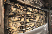 Fachwerkhaus in 71263 Weil der Stadt (11.04.2016 - Stefan King) Fachwerkhaus in 71263 Weil der Stadt (11.04.2016 - Stefan King)