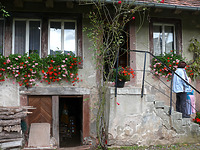 Bauernhof in 77796 Mühlenbach (Rolf Kaufmann, Dipl. Ing.(FH), Gutach) Bauernhof in 77796 Mühlenbach (Rolf Kaufmann, Dipl. Ing.(FH), Gutach)