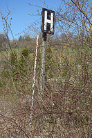 Haltesignal Ostelsheim / Württembergische Schwarzwaldbahn in  keine genauere Zuordnung (11.04.2018 - wifu)
