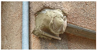 Konsolstein mit dem Frauenkopf, vor Abnahme / Haus der Esslinger Katharinenpflege (abgegangen) in 71229 Leonberg (2025/26 - Christine Leopold) Konsolstein mit dem Frauenkopf, vor Abnahme / Haus der Esslinger Katharinenpflege (abgegangen) in 71229 Leonberg (2025/26 - Christine Leopold)