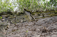 Stumpfwinkliger Eckverband des nach Osten ziehenden oberen Mauerwerks oberhalb des Strebepfeilers und Verzahnung des Strebepfeilers nach Osten / Stadtmauer in 79206 Breisach, Breisach am Rhein (12.2021 - S. King)