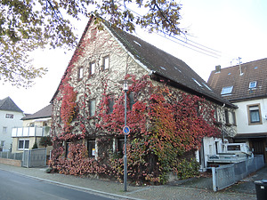 Ansicht von Südosten / Wohn-und Geschäftshaus in 74906 Bad Rappenau (6.11.2014 - Markus Numberger)