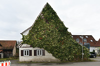 Nordfassade / Wohnhaus in 72631 Aichtal-Aich (12.2023 - strebewerk. Architekten GmbH) Nordfassade / Wohnhaus in 72631 Aichtal-Aich (12.2023 - strebewerk. Architekten GmbH)