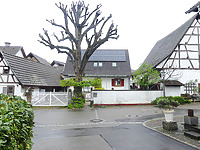 Westansicht der gesamten Hofanlage / Dreiseitgehöft, Scheune in 79418 Schliengen (2025 - Burghard Lohrum) Westansicht der gesamten Hofanlage / Dreiseitgehöft, Scheune in 79418 Schliengen (2025 - Burghard Lohrum)