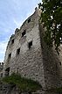 Ruine Bodman, Palas, Blick von Norden. / Burgruine Alt-Bodman in Bodman (10.06.2007)