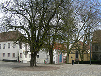 Konstanz, Münsterplatz 11/11a, ehemaliger Domherrenhof. Ansicht von Südwesten. (Löbbecke 2008) / Ehem. Domherrenhof in 78462 Konstanz