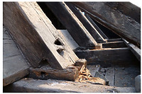 Wiedlöcher an einem Spaaren (Dachgeschoss) (2011) / Altes Bezirksrathaus, Rathaus in 70372 Stuttgart, Bad Cannstatt (01.07.2011 - strebewerk) Wiedlöcher an einem Spaaren (Dachgeschoss) (2011) / Altes Bezirksrathaus, Rathaus in 70372 Stuttgart, Bad Cannstatt (01.07.2011 - strebewerk)