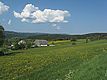 Blick nach Westen von Kappel zum Feldberg über den Zipfelhof / Zipfelhof in 79853 Lenzkirch, Kappel (14.05.2008 - freiburg-schwarzwald.de)