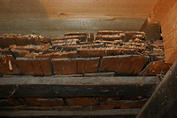 Schindeleindeckung / Wohnhaus in 79848 Gündelwangen (23.10.2012 - Lohrum) Schindeleindeckung / Wohnhaus in 79848 Gündelwangen (23.10.2012 - Lohrum)