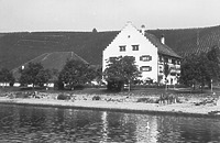 Gesamtansicht / Rebgut Haltnau in 88709 Meersburg (01.01.1972 - Bildindex Foto Marburg: LDA TÜ, Foto Rettich 430/7)